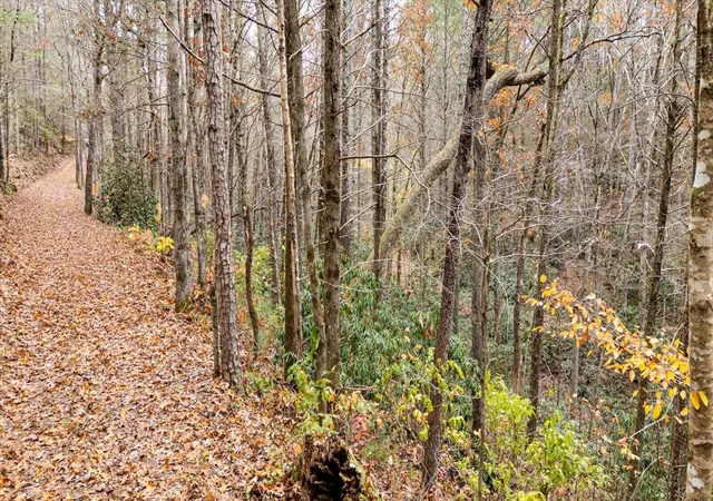 5th image of 138 Bowater Road, Tellico Plains, TN 37385 | MLS# 3228467