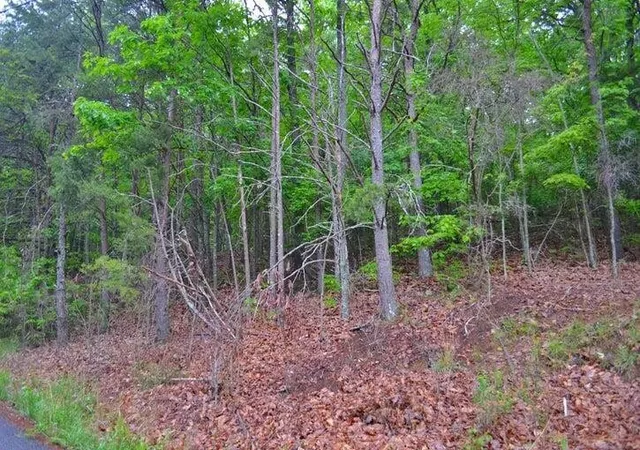 Land for sale at 8805 Terrace Fls Dr, Soddy Daisy, TN 37379 | MLS# 3304371