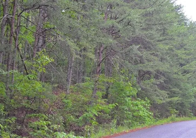 Photo 3 of Land for sale at 8805 Terrace Fls Dr, Soddy Daisy, TN 37379 | MLS# 3304371 | Listing updated on 2026-09-21