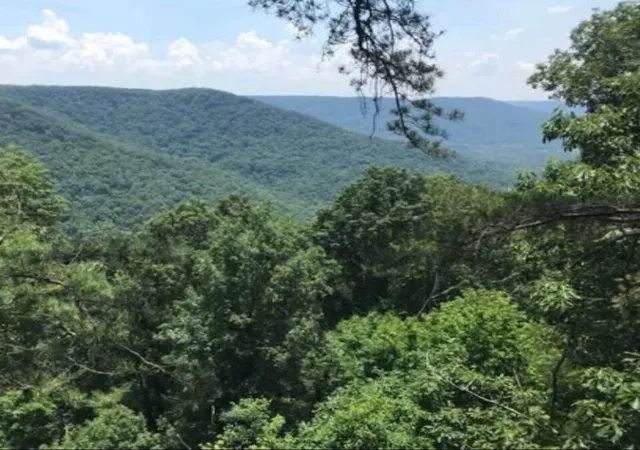 2nd image of 41 Wohalie Lane, South Pittsburg, TN 37380 | MLS# 3047692