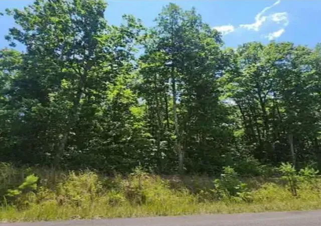 3rd image of 41 Wohalie Lane, South Pittsburg, TN 37380 | MLS# 3047692