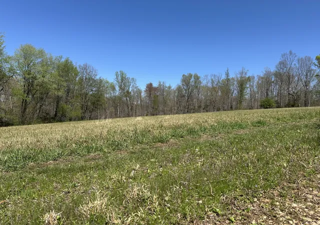 25th image of 850 Beech Grove Rd, Lafayette, TN 37083 | MLS# 3047931