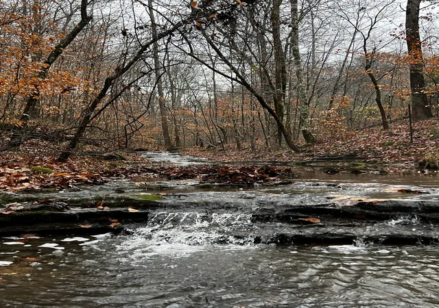 1st image of 1911 Smalling Rd, Lafayette, TN 37083 | MLS# 3048062