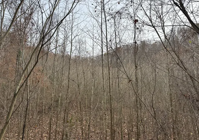1st image of 216 Happy Hollow Rd, Goodlettsville, TN 37072 | MLS# 3048669
