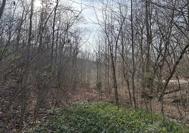 3rd image of 216 Happy Hollow Rd, Goodlettsville, TN 37072 | MLS# 3048669