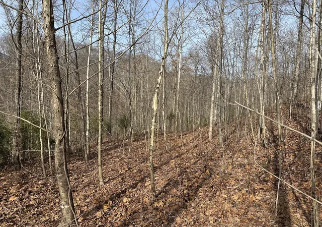 4th image of 216 Happy Hollow Rd, Goodlettsville, TN 37072 | MLS# 3048669