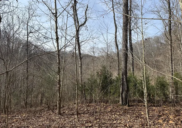 5th image of 216 Happy Hollow Rd, Goodlettsville, TN 37072 | MLS# 3048669