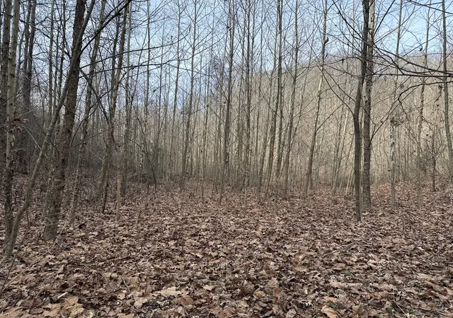 7th image of 216 Happy Hollow Rd, Goodlettsville, TN 37072 | MLS# 3048669