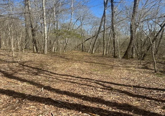 1st image of 4489 Spring Crk Rd, Lavinia, TN 38348 | MLS# 3048951