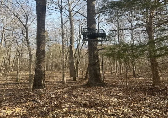 3rd image of 4489 Spring Crk Rd, Lavinia, TN 38348 | MLS# 3048951