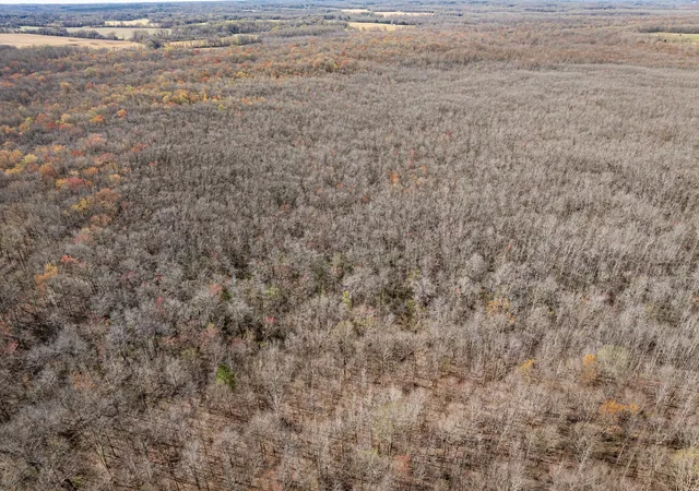 5th image of 4489 Spring Crk Rd, Lavinia, TN 38348 | MLS# 3048951