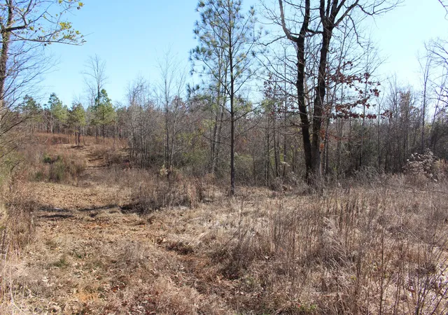 2nd image of 1031 Ridge Rd, Savannah, TN 38372 | MLS# 3067860