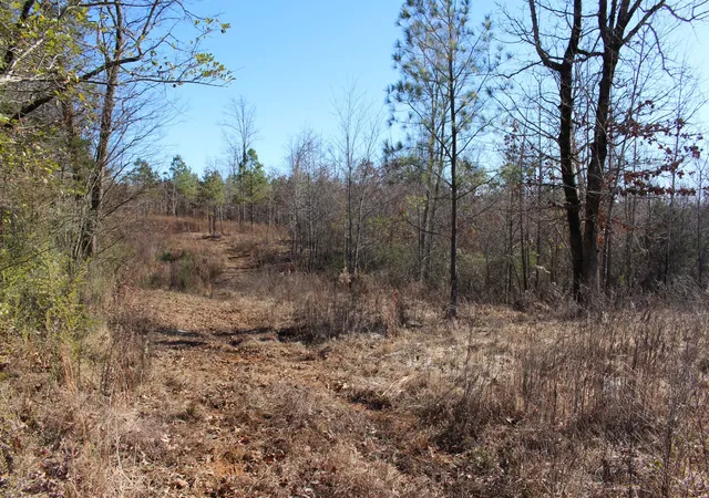 1st image of 1031 Ridge Rd, Savannah, TN 38372 | MLS# 3067860