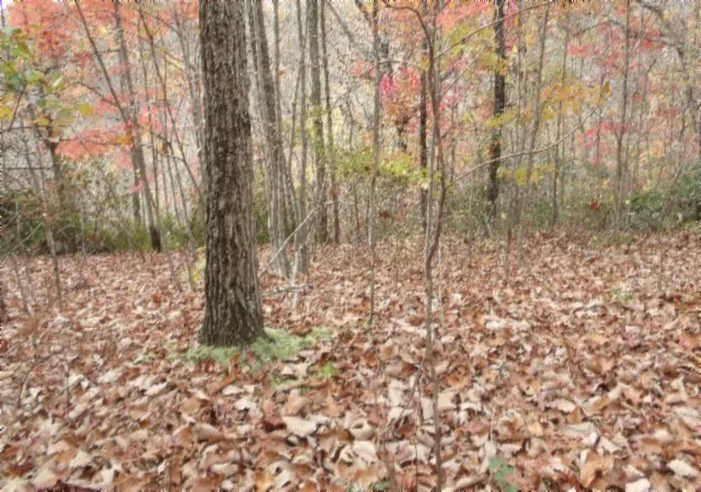 Photo 1 of Land for sale at 0 Drew Ct, Smithville, TN 37166 | MLS# 3050467 | Listing updated on 2026-08-12