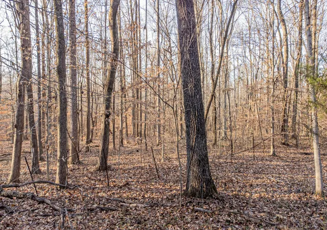4th image of 0 Mt Vernon Rd, Bethpage, TN 37022 | MLS# 3052151