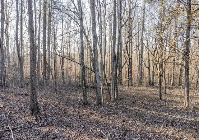 5th image of 0 Mt Vernon Rd, Bethpage, TN 37022 | MLS# 3052151