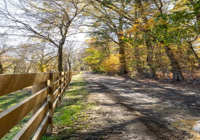 3rd image of 1 Tallent Road, Pulaski, TN 38478 | MLS# 3050701