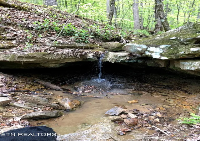 45th image of 235 Sparta St, Spencer, TN 38585 | MLS# 3051026