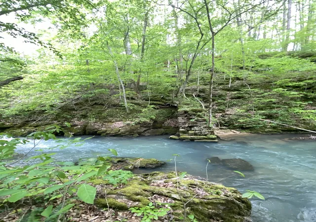 3rd image of 8450 Old Hwy 28, Pikeville, TN 37367 | MLS# 3156187