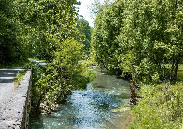 5th image of 8450 Old Hwy 28, Pikeville, TN 37367 | MLS# 3156187