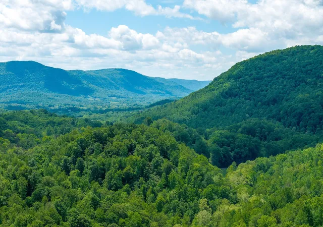 4th image of 8450 Old Hwy 28, Pikeville, TN 37367 | MLS# 3156187