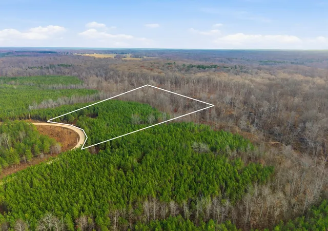 Land at 0 Cox Holw Rd, Dover, TN 37058 | MLS# 3061585 | | Sold on 2026-06-05