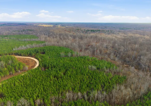 Photo 1 of Land at 0 Cox Holw Rd, Dover, TN 37058 | MLS# 3061585 | | Sold on 2026-06-05