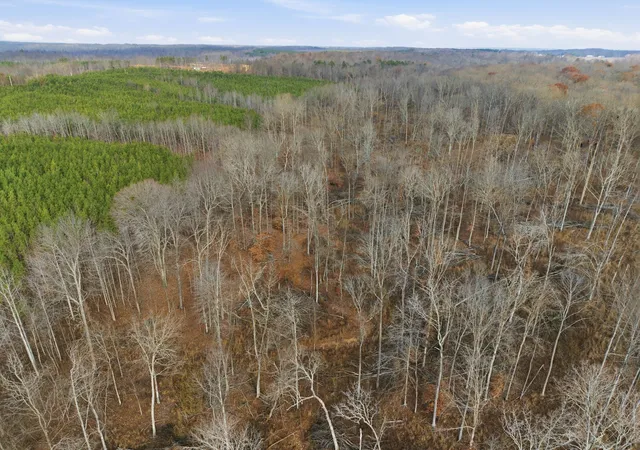 Photo 2 of Land at 0 Cox Holw Rd, Dover, TN 37058 | MLS# 3061585 | | Sold on 2026-06-05