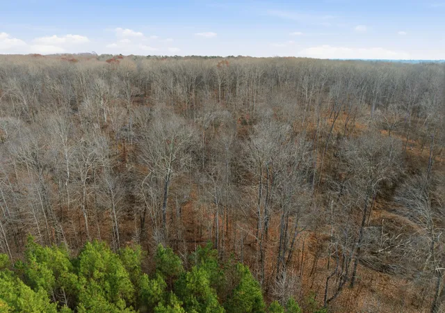 Photo 3 of Land at 0 Cox Holw Rd, Dover, TN 37058 | MLS# 3061585 | | Sold on 2026-06-05