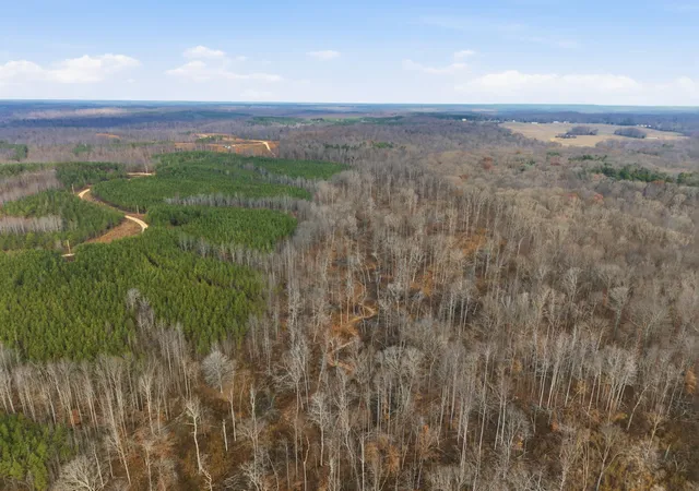 Photo 4 of Land at 0 Cox Holw Rd, Dover, TN 37058 | MLS# 3061585 | | Sold on 2026-06-05