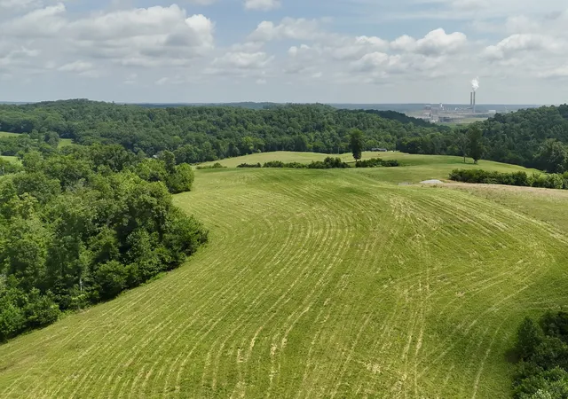 Homes for sale in Erin, TN | 0 Brigham Branch Road, Erin, TN 37061 | MLS# 3167881