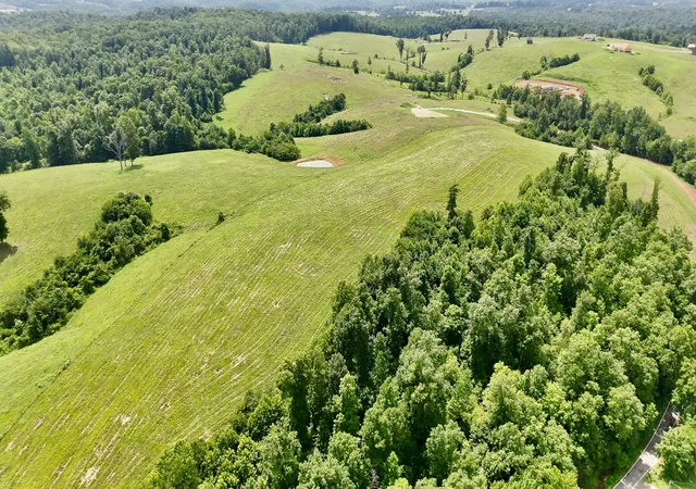 Homes for sale in Erin, TN | 0 Brigham Branch Road, Erin, TN 37061 | MLS# 3167881