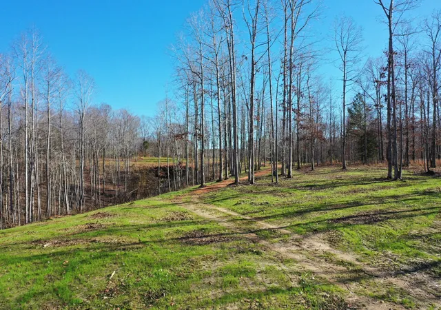 Homes for sale in Nunnelly, TN | 0 Bell Branch Road, Nunnelly, TN 37137 | MLS# 3054459