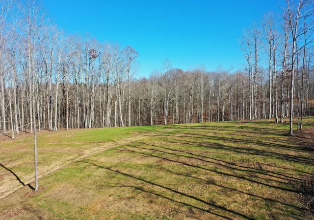 Homes for sale in Nunnelly, TN | 0 Bell Branch Road, Nunnelly, TN 37137 | MLS# 3054459