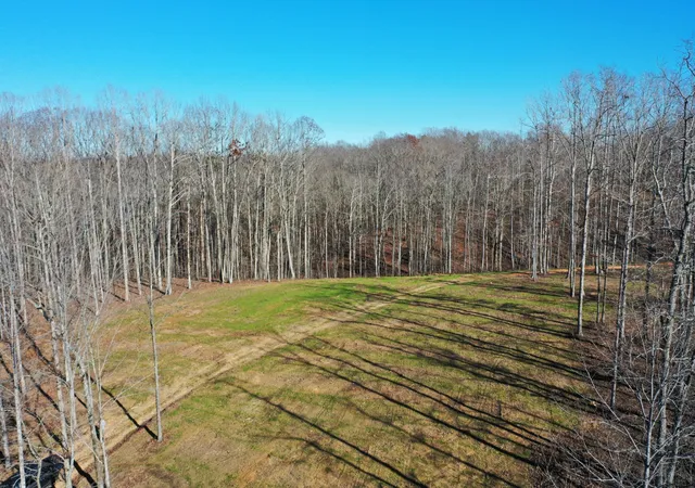 Homes for sale in Nunnelly, TN | 0 Bell Branch Road, Nunnelly, TN 37137 | MLS# 3054459