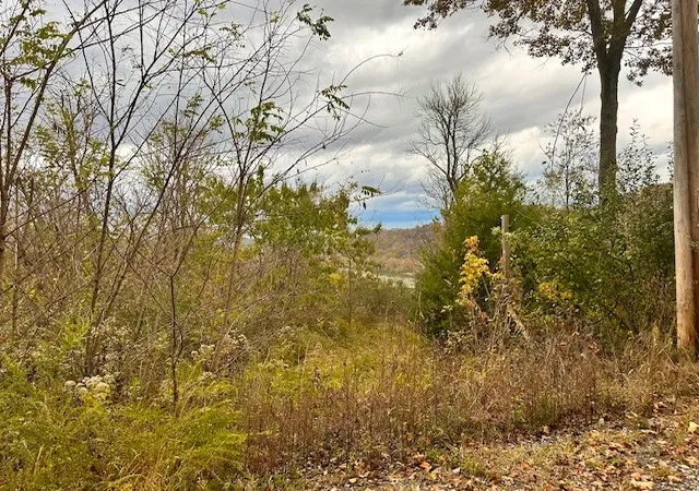 Photo 1 of Land for sale at 0 Schelley Rd, Gainesboro, TN 38562 | MLS# 3053339 | Listing updated on 2026-04-10