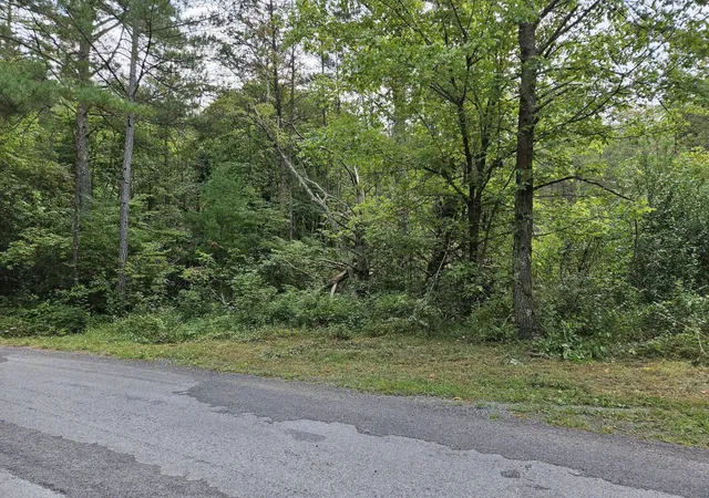 Homes for sale in Copperhill, TN | 32 Belaire Dr, Copperhill, TN 37317 | MLS# 3221606