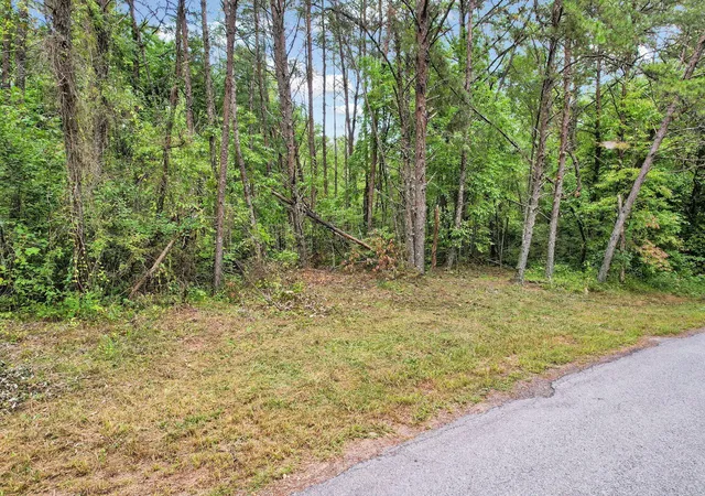 Homes for sale in Copperhill, TN | 0 Golf Course Road, Copperhill, TN 37317 | MLS# 3221607