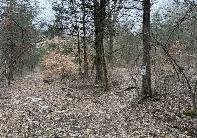 1st image of 0 Cook Ln, Gainesboro, TN 38562 | MLS# 3054661