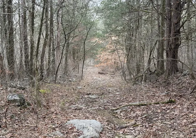 4th image of 0 Cook Ln, Gainesboro, TN 38562 | MLS# 3054661