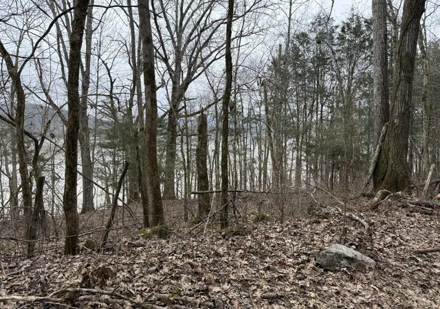 5th image of 0 Cook Ln, Gainesboro, TN 38562 | MLS# 3054661