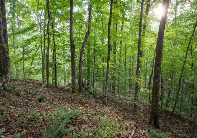 Photo 2 of Land for sale at 5010 Chinkapin Ln, Franklin, TN 37064 | MLS# 3057159 | Listing updated on 2026-06-29