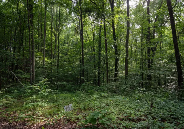 Photo 4 of Land for sale at 5010 Chinkapin Ln, Franklin, TN 37064 | MLS# 3057159 | Listing updated on 2026-06-29