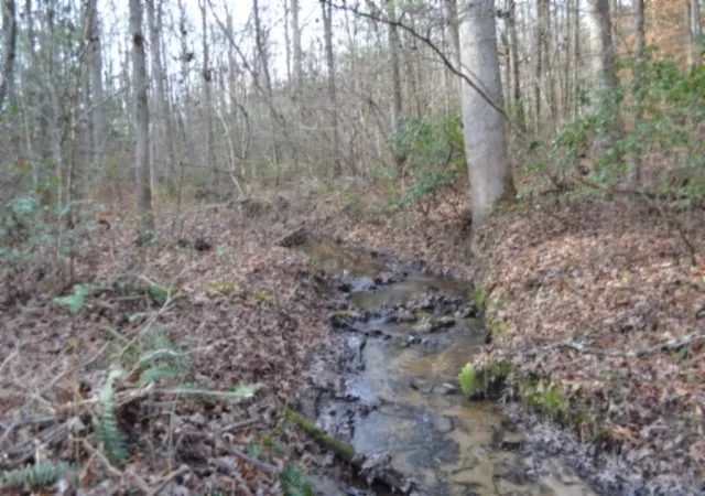 Photo 2 of Land for sale at 0 Shotgun Annie Rd, Jamestown, TN 38556 | MLS# 3056787 | Listing updated on 2026-01-30