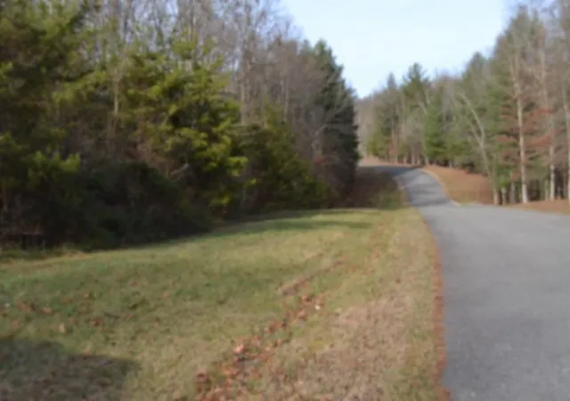Photo 3 of Land for sale at 0 Shotgun Annie Rd, Jamestown, TN 38556 | MLS# 3056787 | Listing updated on 2026-01-30