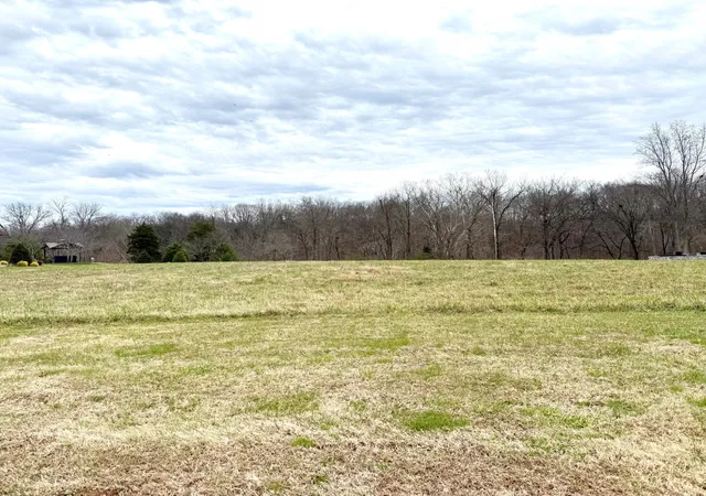 Homes for sale in Lawrenceburg, TN | 0 Cove Lane, Lawrenceburg, TN 38464 | MLS# 3056801