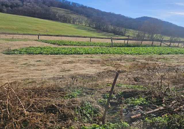 3rd image of 1 Wilburn Hollow Rd, Riddleton, TN 37151 | MLS# 3056954