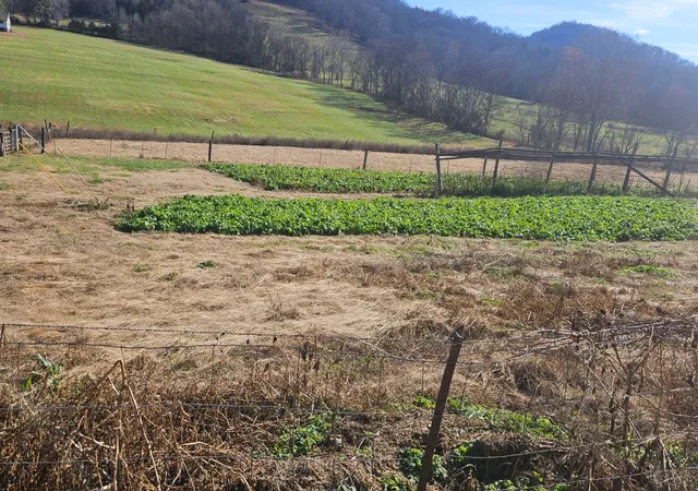 1st image of 1 Wilburn Hollow Rd, Riddleton, TN 37151 | MLS# 3056954