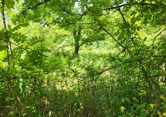 Photo 3 of Land for sale at 0 Felton Rd, Memphis, TN 38128 | MLS# 3057020 | Listing updated on 2026-04-29