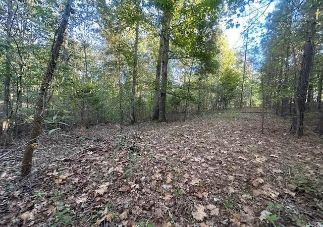 Homes for sale in Dover, TN | 0 Amanda Rd, Dover, TN 37058 | MLS# 3057060
